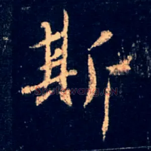 斯