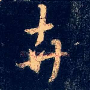 卉