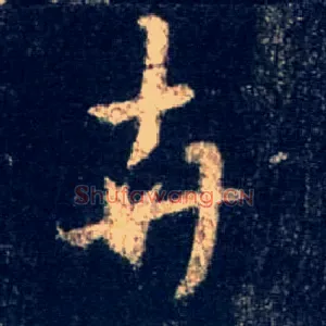 卉