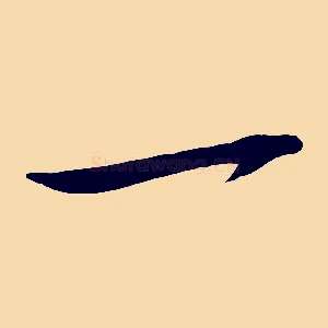 一