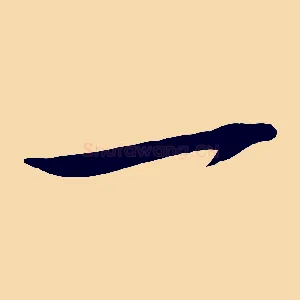 一