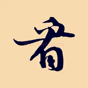 看