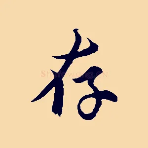存