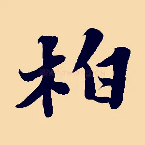 柏