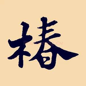 椿