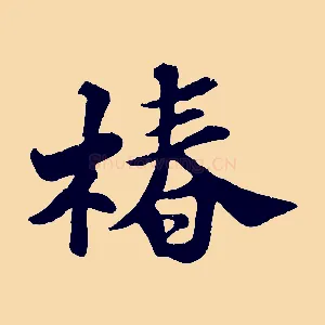 椿