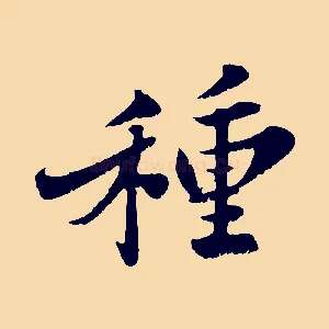 種
