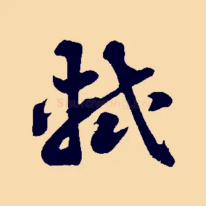 軾
