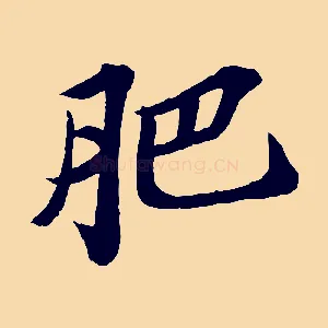 肥