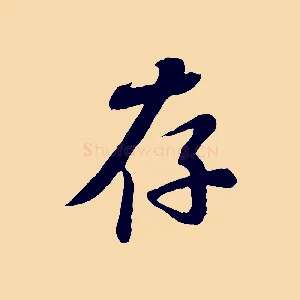 存
