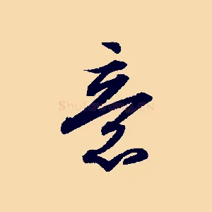 意