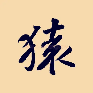 猿