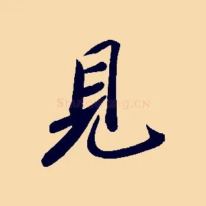 見
