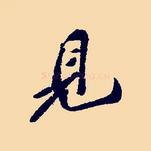 見