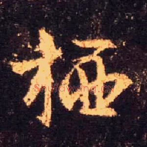 栖
