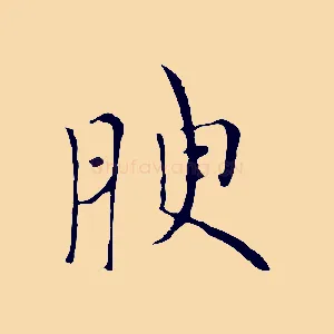 腴