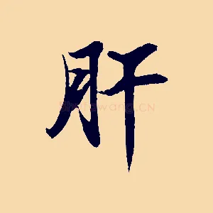 肝