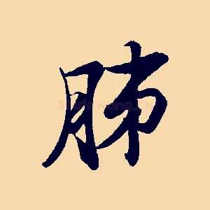 肺