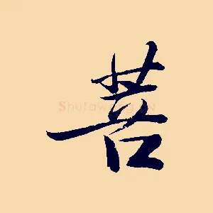 菩