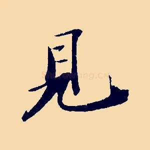 見