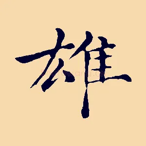 雄