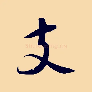支