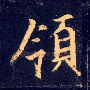 领