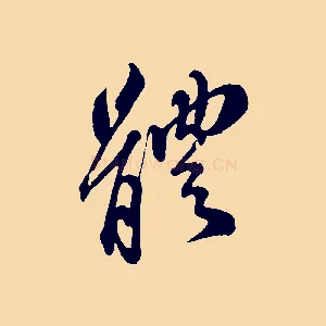 體