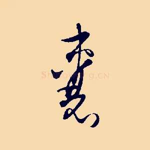 囊