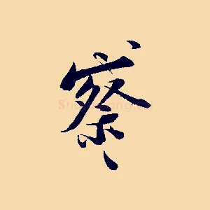 察