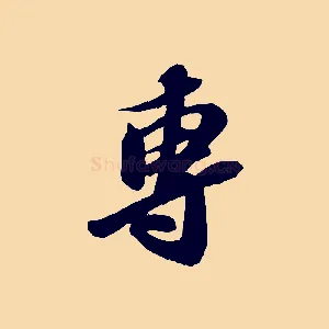 專