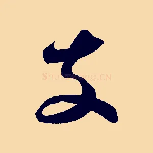 支