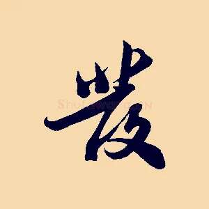 發