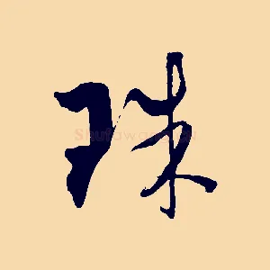 珠