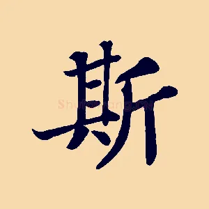 斯