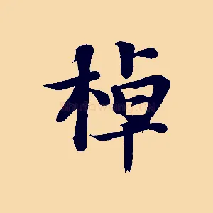 棹