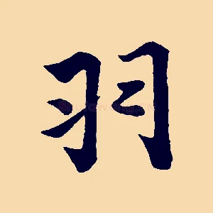 羽