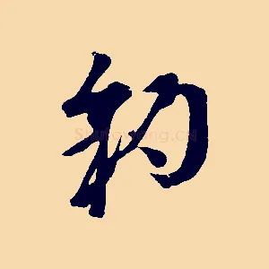 豹