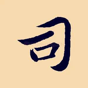 司