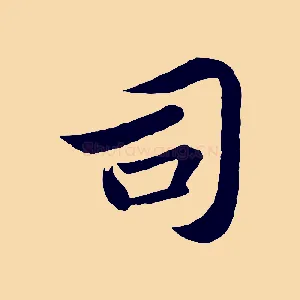 司