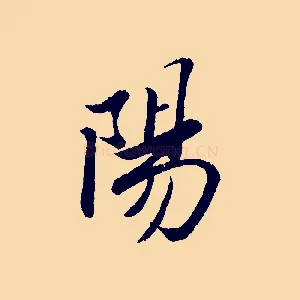 陽