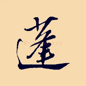 蓬