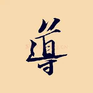 導