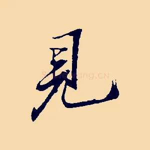 見