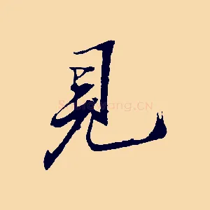 見