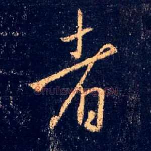 者