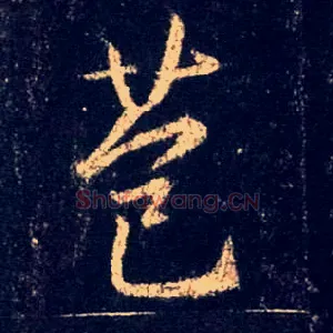 苞
