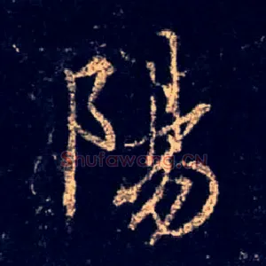 陽