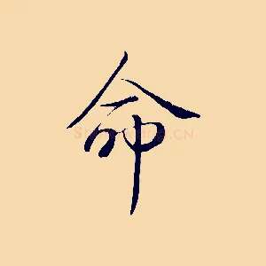 命