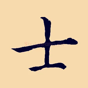 士